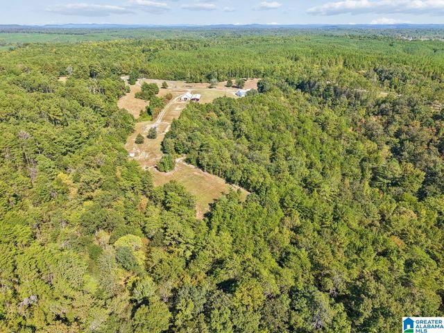 44 BUCKEYE TRAIL, Columbiana, AL 35051