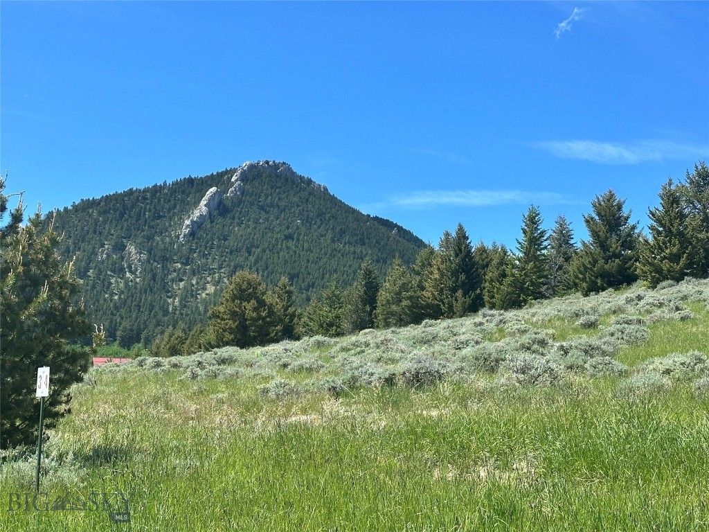 NHN Wilderness Lane, Red Lodge, MT 59068