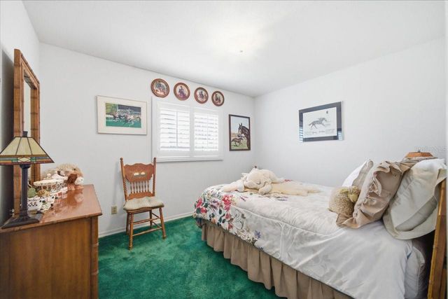 9449 ROBERTS ROAD, Odessa, FL 33556