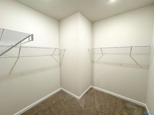 29351 Satilla Circle, Madison, AL 35756