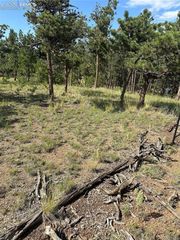 315 Thunder Ridge Road, Florissant, CO 80816