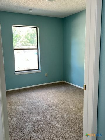 1302 S Mesquite Avenue, New Braunfels, TX 78130