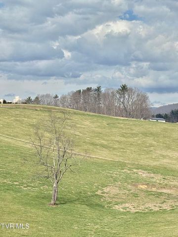 Lot 23 Prairie Overlook Road, Butler, TN 37640