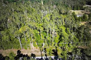 000 SE Apache Avenue, Lee, FL 32059