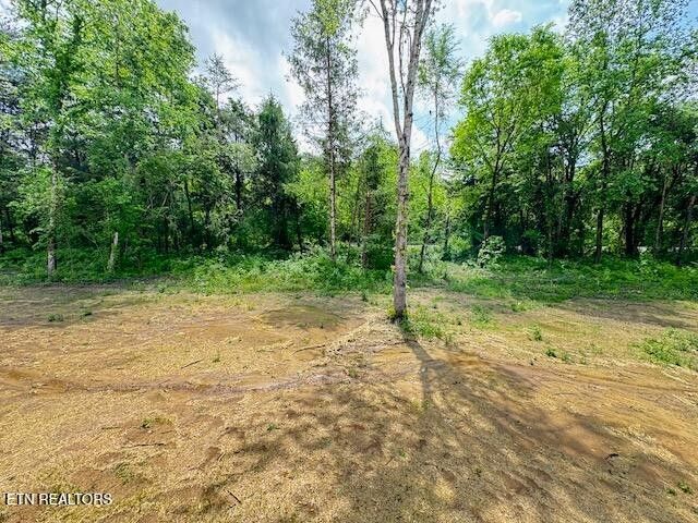 736 Old Cemetery Rd, Madisonville, TN 37354