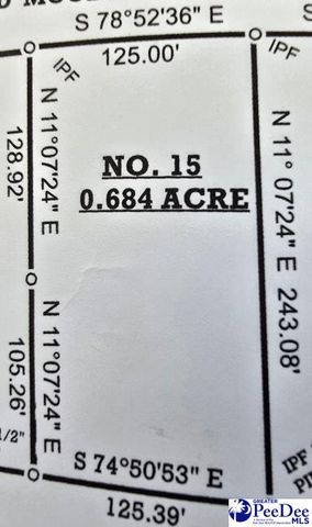 111 Copeland Moody Rd, Latta, SC 29565