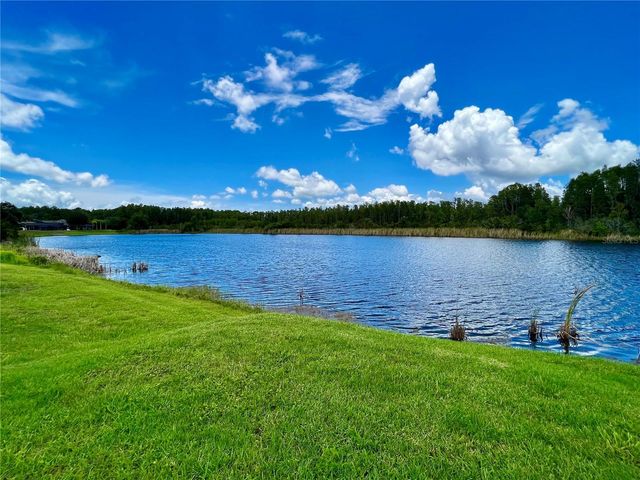 19237 FALCON CREST BOULEVARD, Land O Lakes, FL 34638