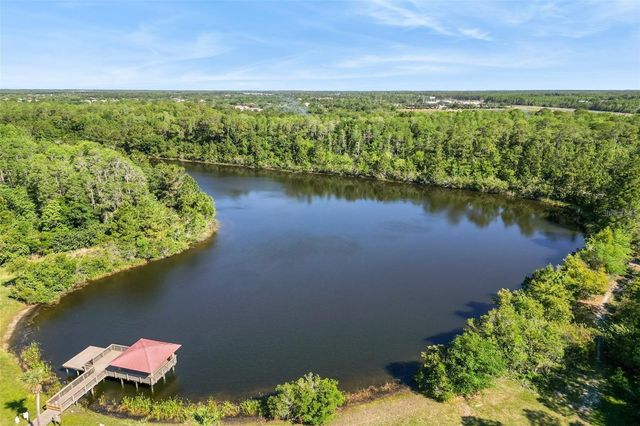 19237 FALCON CREST BOULEVARD, Land O Lakes, FL 34638