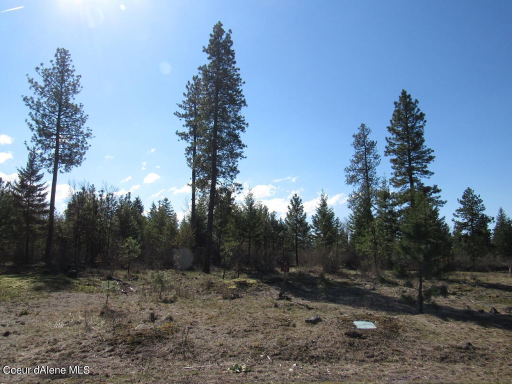 2124 E KETTLE RIDGE RD, Harrison, ID 83833 photo 7