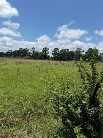 Tract 3 CR 2168, Troup, TX 75789