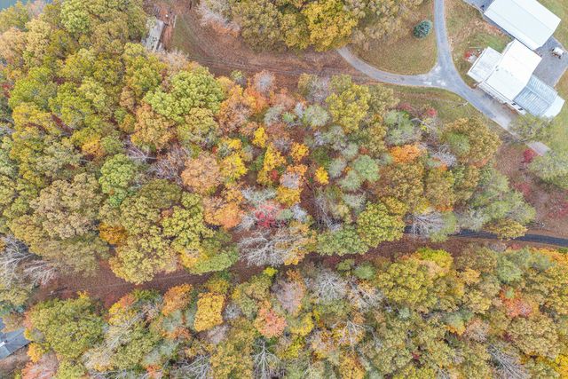 0 Thomason LN, Goodview, VA 24095