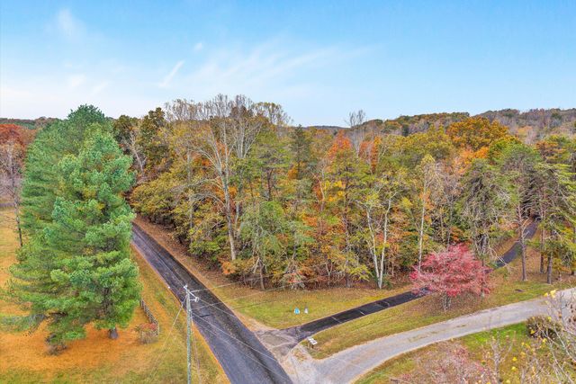 0 Thomason LN, Goodview, VA 24095