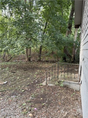 238 Sobul Avenue, Akron, OH 44305