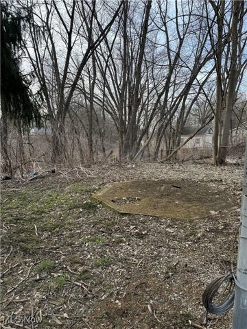 238 Sobul Avenue, Akron, OH 44305