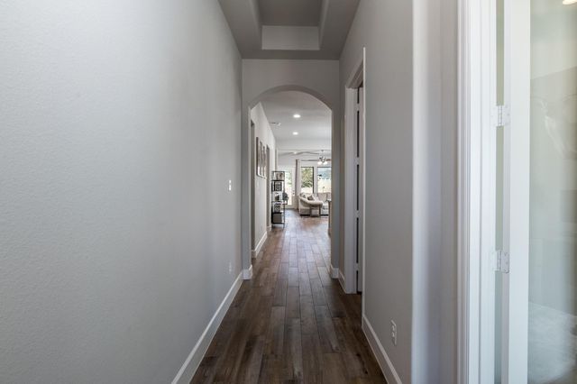 19806 Palomino Prairie Trail, Tomball, TX 77377