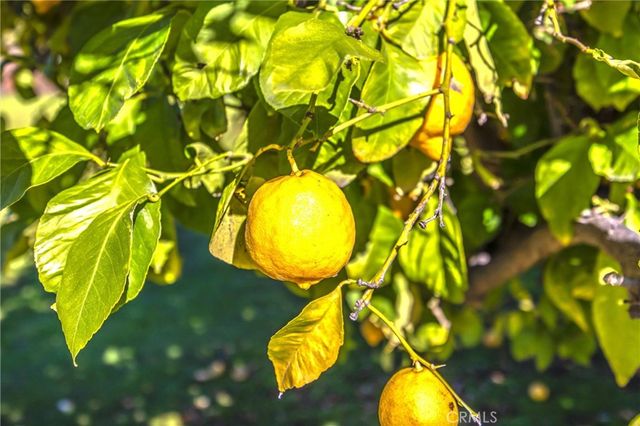 10211 Bryant Outer Hwy, Yucaipa, CA 92399