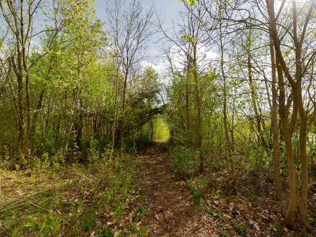 2317 Georgetown Boulevard, Ann Arbor, MI 48105