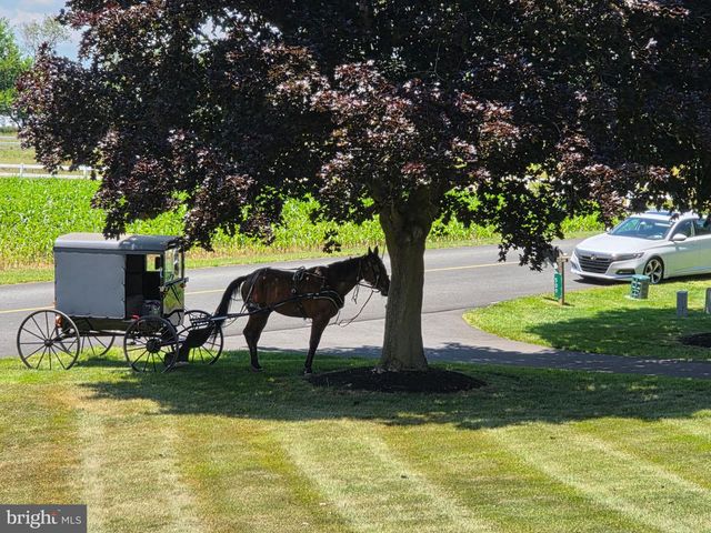 509 BUCHLAND RD, Narvon, PA 17555