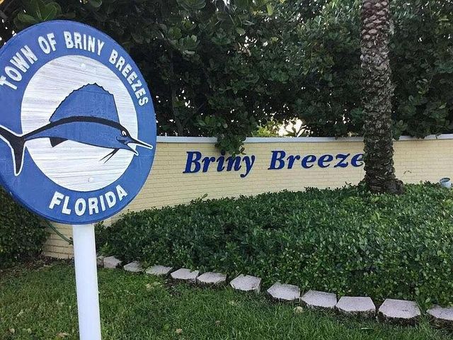 206 Eagle Drive E, Briny Breezes, FL 33435