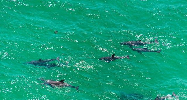 485 Wood Beach Drive, Santa Rosa Beach, FL 32459