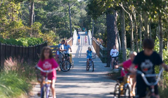 485 Wood Beach Drive, Santa Rosa Beach, FL 32459