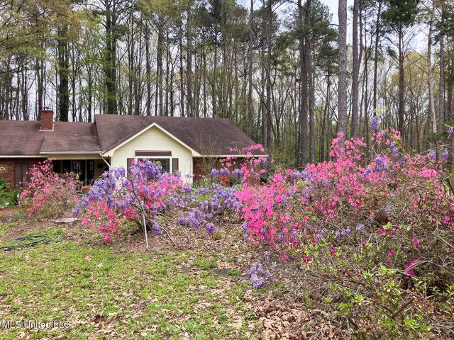 4201 Oak Hill Drive, Terry, MS 39170