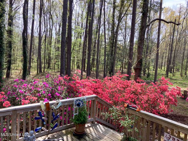 4201 Oak Hill Drive, Terry, MS 39170