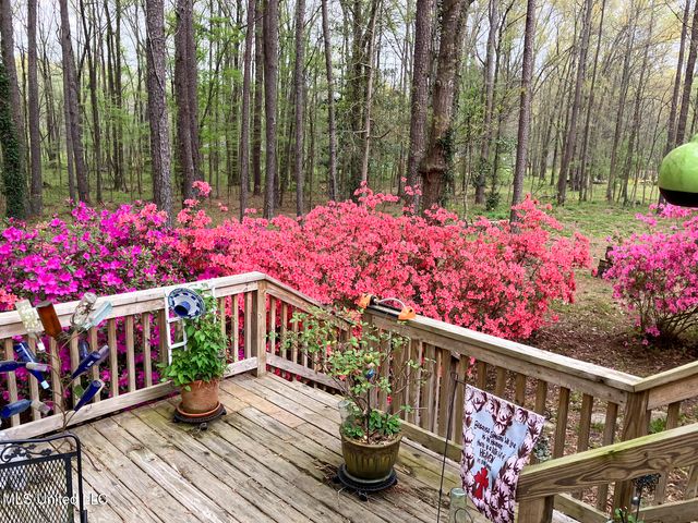 4201 Oak Hill Drive, Terry, MS 39170