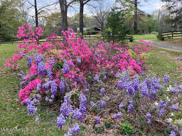 4201 Oak Hill Drive, Terry, MS 39170