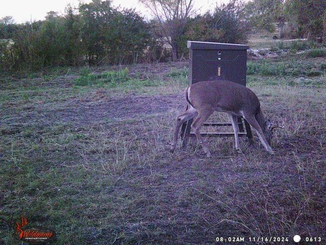 12303 W Highway 67, Cleburne, TX 76033