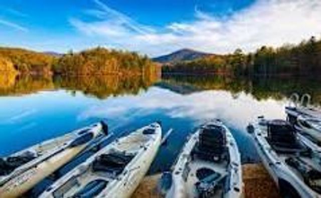 315 Bell Flower Drive, Big Canoe, GA 30143