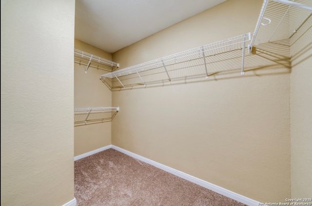 2915 Lavender, San Antonio, TX 78222