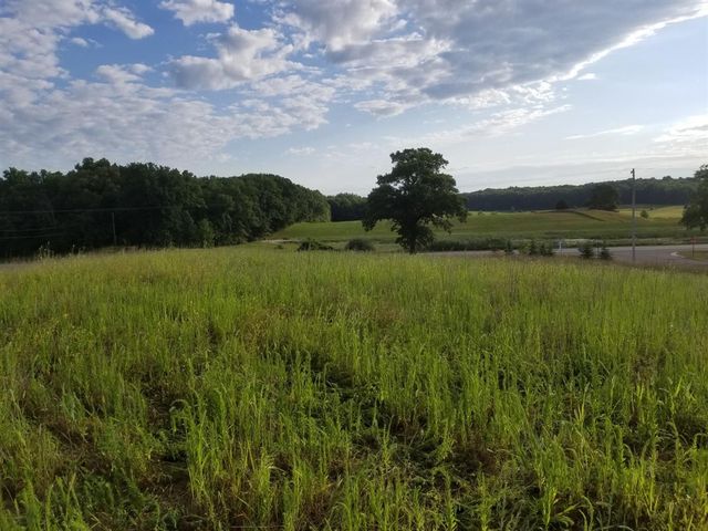 788 Greystone Drive, Chelsea, MI 48118