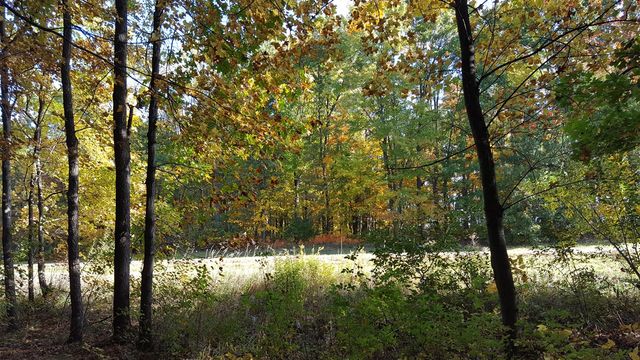 788 Greystone Drive, Chelsea, MI 48118