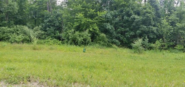 788 Greystone Drive, Chelsea, MI 48118