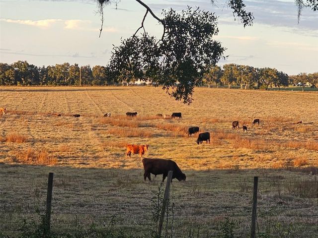 CHILLA, Dunnellon, FL 34431