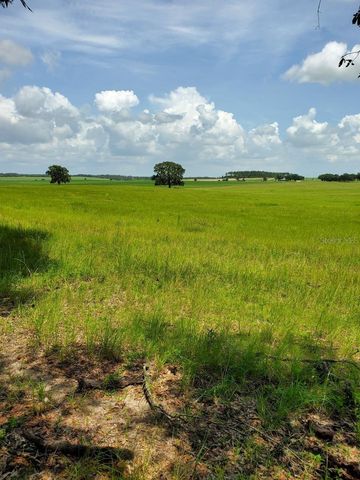 CHILLA, Dunnellon, FL 34431