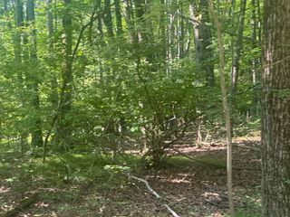Lot # 179 Mockingbird Circle, Farwell, MI 48622