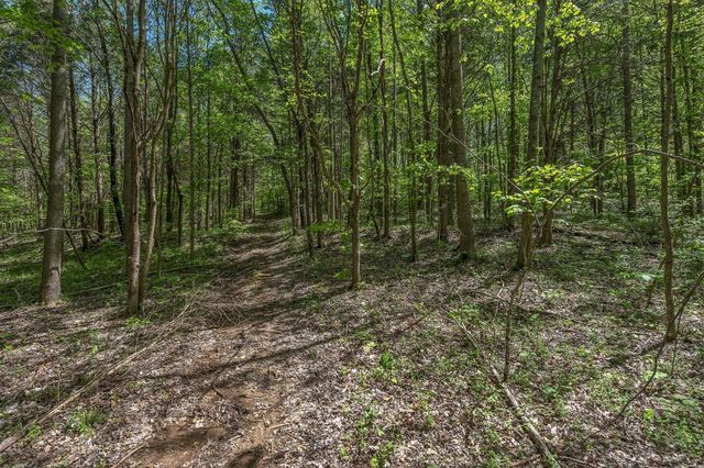 2600 Little Bartons Creek Rd, Cumberland Furnace, TN 37051