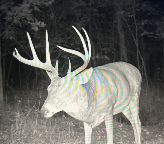 2600 Little Bartons Creek Rd, Cumberland Furnace, TN 37051