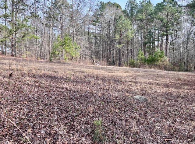 6824 Myrtle Drive, Mabelvale, AR 72103