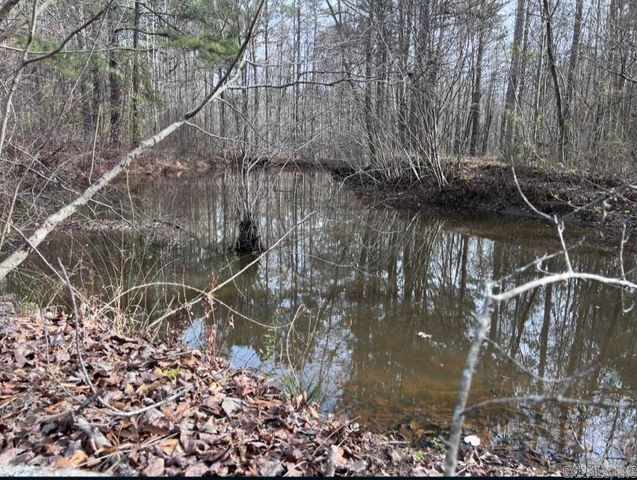 6824 Myrtle Drive, Mabelvale, AR 72103