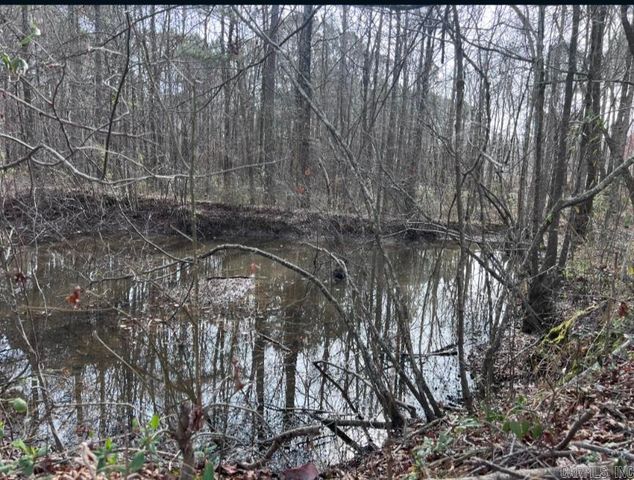 6824 Myrtle Drive, Mabelvale, AR 72103