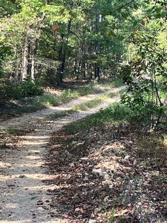 198 Madison CR 410, Fredericktown, MO 63645