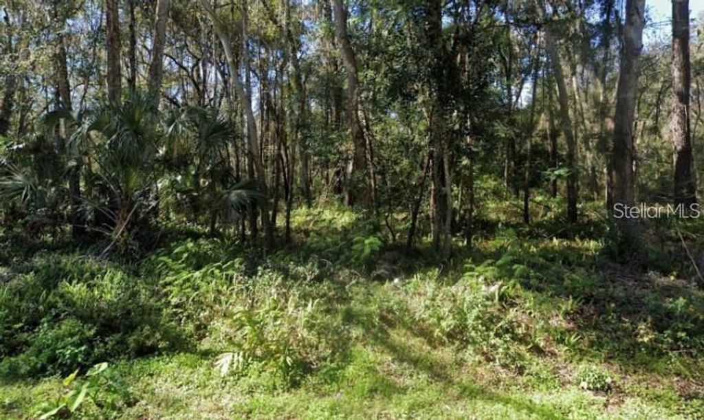 0 ZOLLER STREET, Brooksville, FL 34601