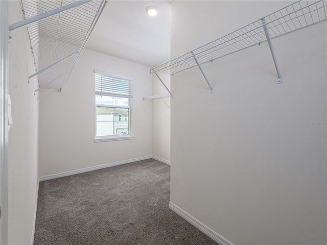 10797 PENNY GALE LOOP, San Antonio, FL 33576