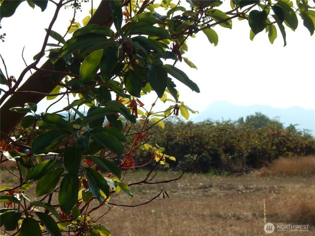 842 S Still Road, Sequim, WA 98382