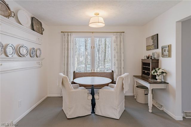 17091 Wing Road, Chagrin Falls, OH 44023