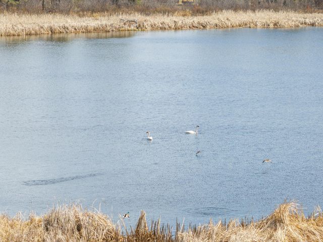 1500 40th Street SW, Pine River, MN 56474