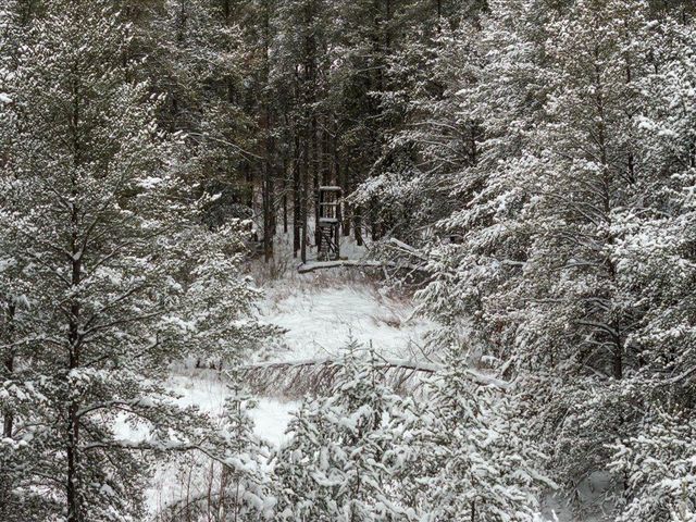 1500 40th Street SW, Pine River, MN 56474